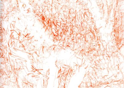 11.In the Garden 2 2025 8“x11“