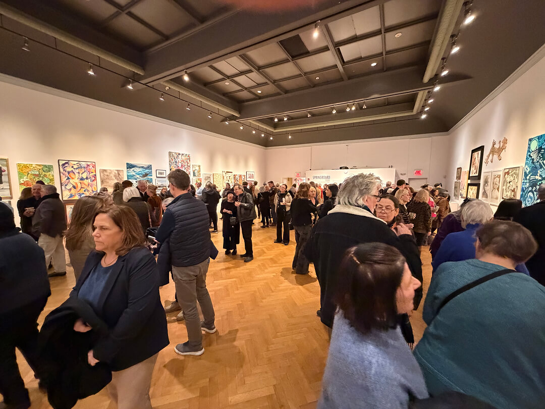 Springboard _Members' Juried Exhibition 2a